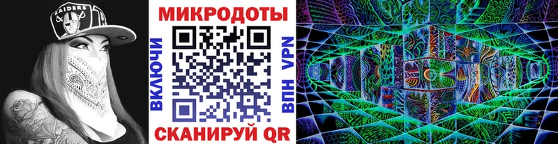 Псилоцибиновые грибы мицелий Губкин