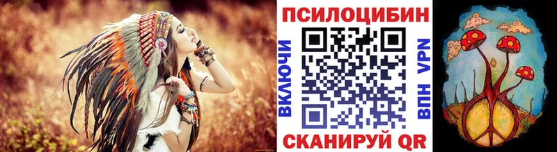 Галлюциногенные грибы мицелий  что такое   Губкин 