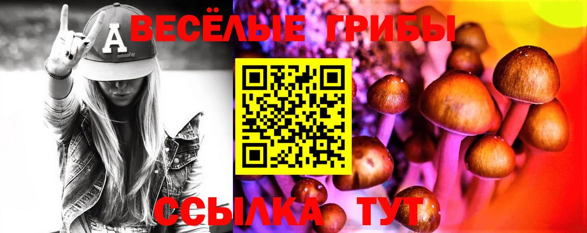 Губкин  Галлюциногенные грибы MAGIC MUSHROOMS  Вход с VPN 